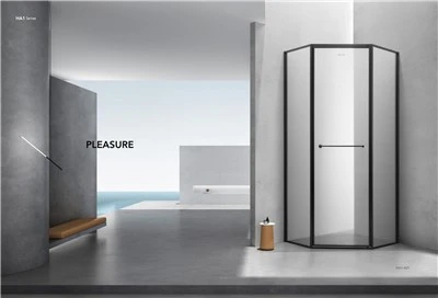 Salle de douche entièrement encadrée en acier inoxydable
